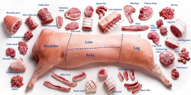 Different cuts of pork